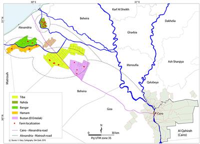 The Contribution of Mobile Pastoral Herds to Soil Fertility Maintenance in Sedentary Mixed Crop-Livestock Systems at Farm and Territory Scales—Part of Mutually Reinforcing Social and Ecological Relationships Supporting Sustainability